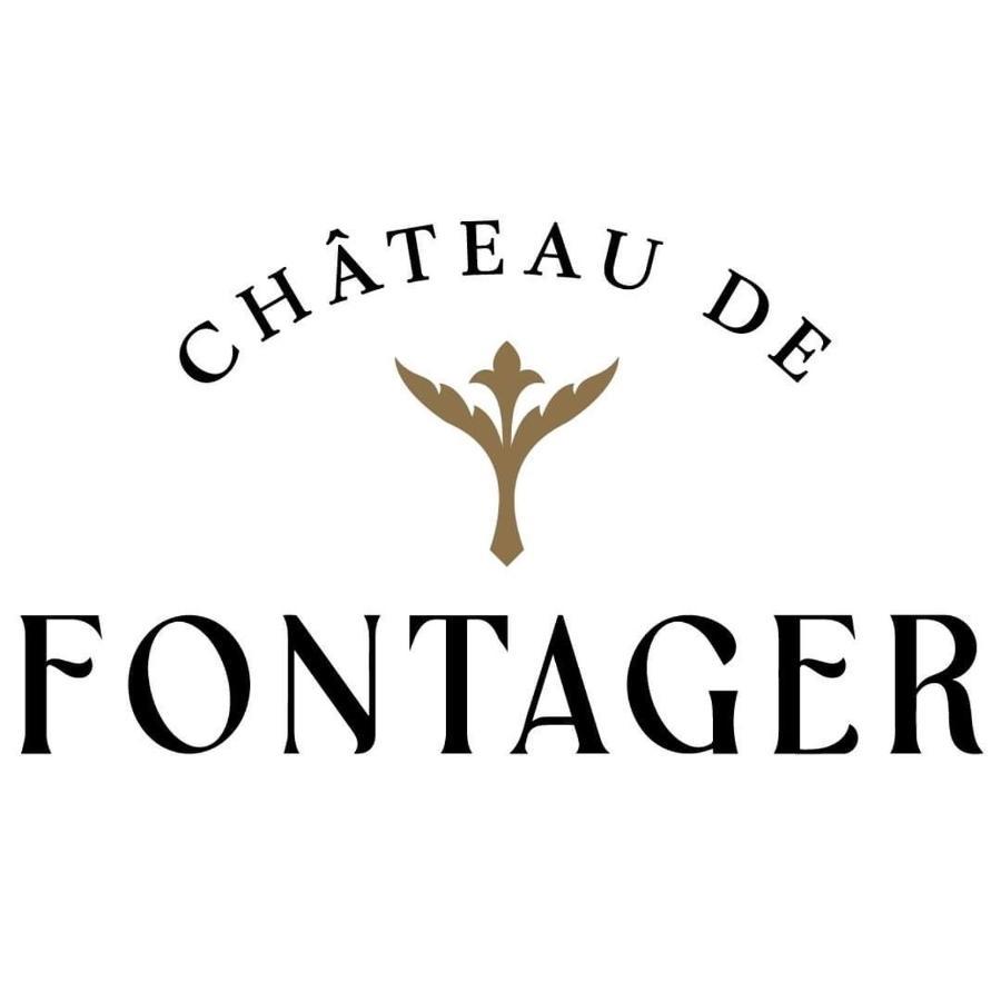 Château de Fontager Hotel Serves-sur-Rhône Exterior foto